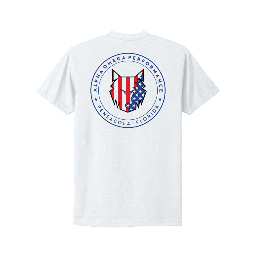 PRESALE - AOP 'Merica Unisex Tee